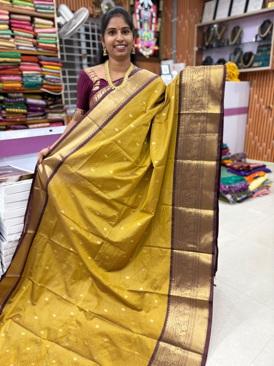 Banaras Vintage Checks Saree